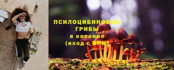 ALPHA PVP Киреевск
