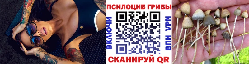 Галлюциногенные грибы прущие грибы  продажа наркотиков  Сим 